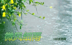 微風細雨吉他譜_C調_鄧麗君_吉他伴奏彈唱譜