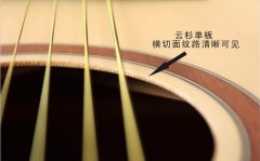 關于單板吉他