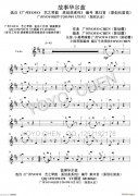 華爾茲(廣州YOYO原創長笛曲小提琴版)