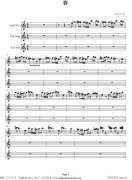 維瓦爾蒂 春 小提琴協奏曲1-9提琴
