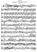 Sonata No 5 in F Major Op 24(F大調第五小提琴奏鳴曲)