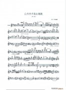 山丹丹開花紅艷艷（小提琴齊奏）