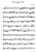 Neue Pizzicato Polka Op 449(新撥弦波爾卡)