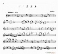 二月里來-小提琴