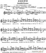 電子琴-美麗的夢神