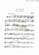 樂隊協奏曲—獨奏 弦樂類 小提琴