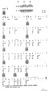 平安夜(電子琴吉他彈唱譜)