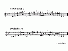 電子琴淺易練習六十八(降B大調及g小調音階練習