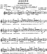 電子琴-美麗的夢神 Beautiful Dreamer(《美麗的星期天